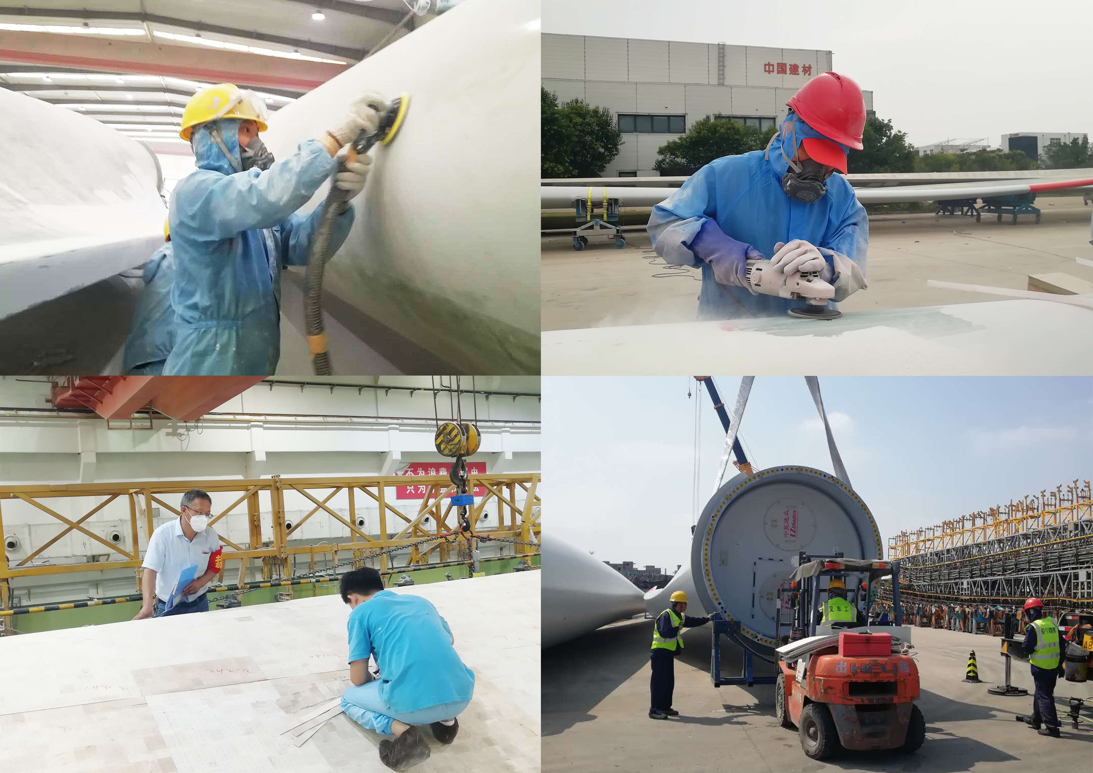 202009241439071600929547496414.jpg 葉片.jpg