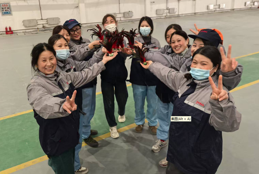 202503121414541741760094517100.png image.png